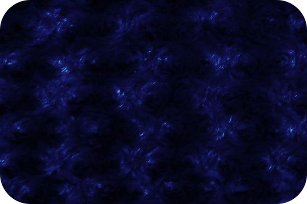 &nbsp;Rose Cuddle Midnight Blue